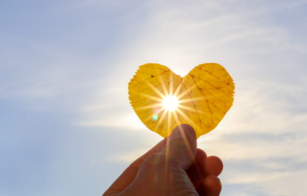 hand holding yellow leaf, Foto(c)TetianaSoares